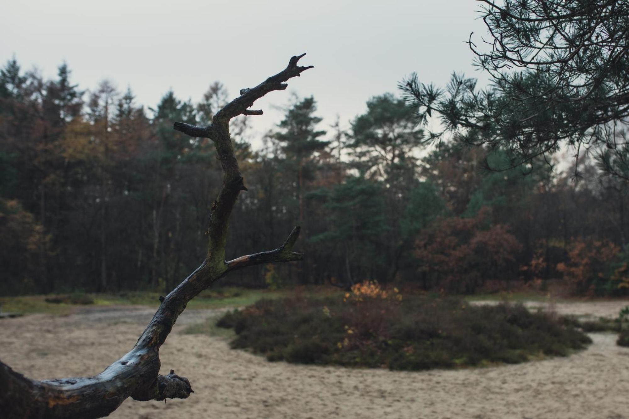 Drents Genieten - Kraaiheide Met Prive Jacuzzi Erm Eksteriør bilde